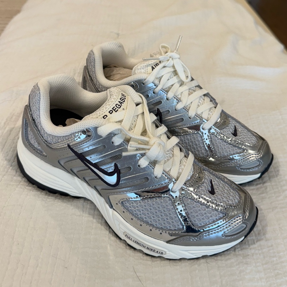 Women’s Nike Air Pegasus 2005 Silver Chrome